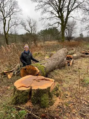 a woman sitting next to a fallen tree