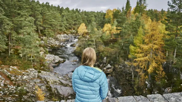A person in a light blue jacket looking down to a river and trees from a bridge.