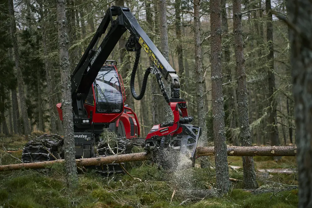 A red harvesting machine cutting trees in a forest