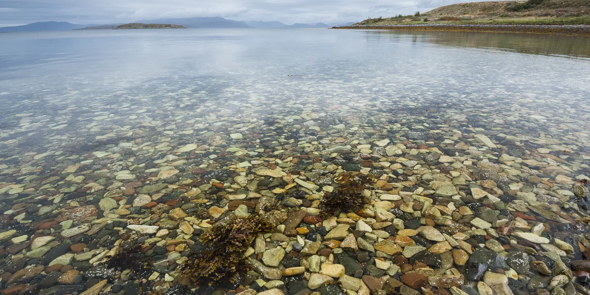 Pebbles under a clear, still sea