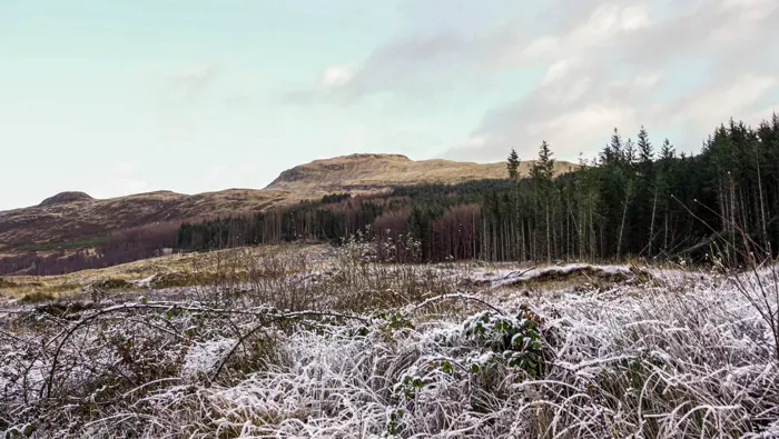 Frosty grass in the foreground with trees and a hill in the background.