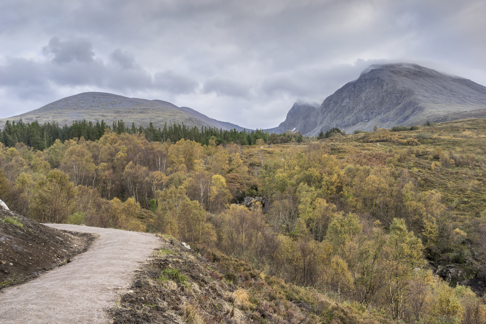 A hiking path winding along a hill next to a autumn forest