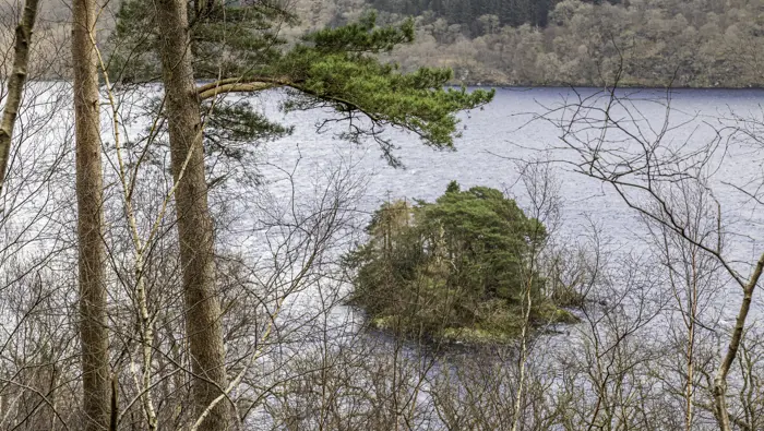 A small treed island through trees