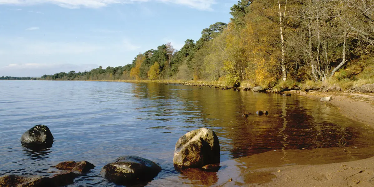 Loch and trees