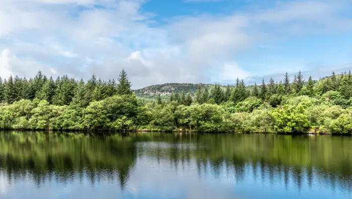 Loch with trees and blue sky.