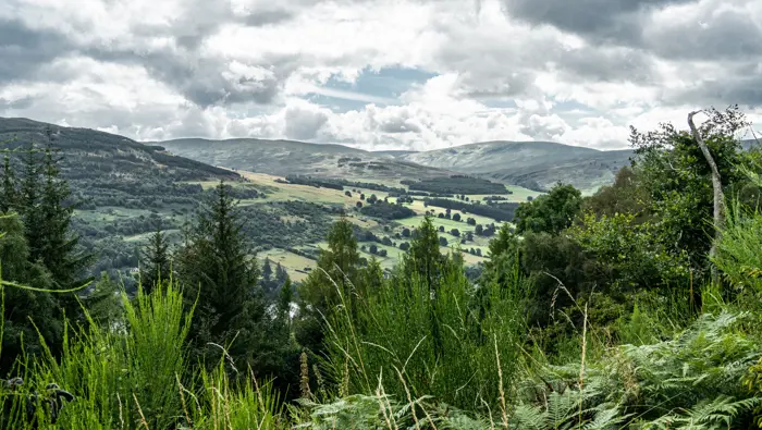 View of a valley through trees