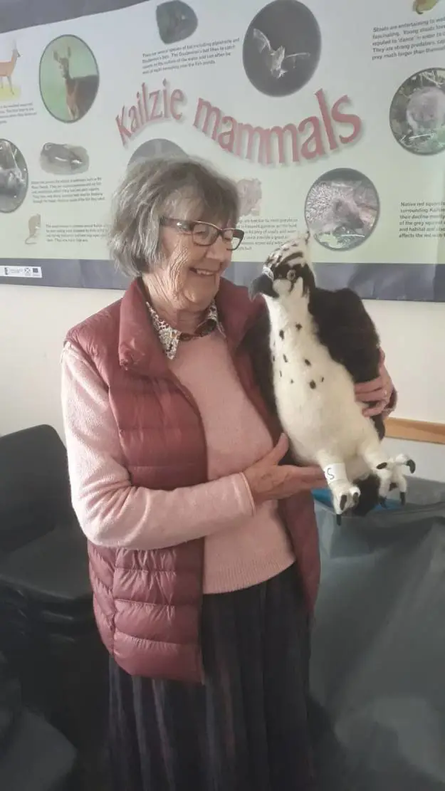 Woman holding a cuddly toy osprey