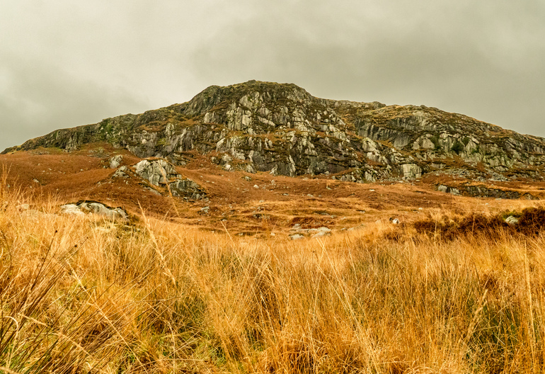 A grassy rocky hillside with a small goat 