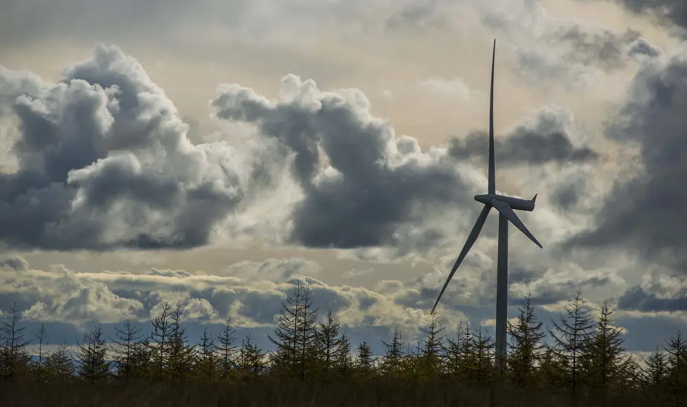 Turbine above trees at Whitelee windfarm