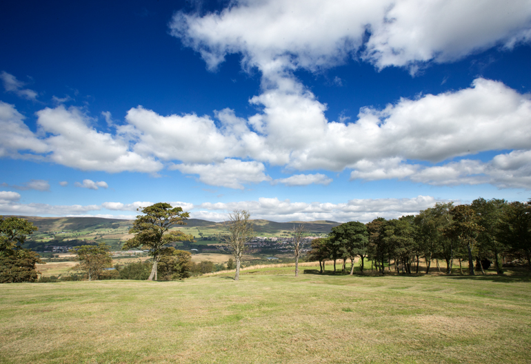 An open field with a small forest and hills in the background