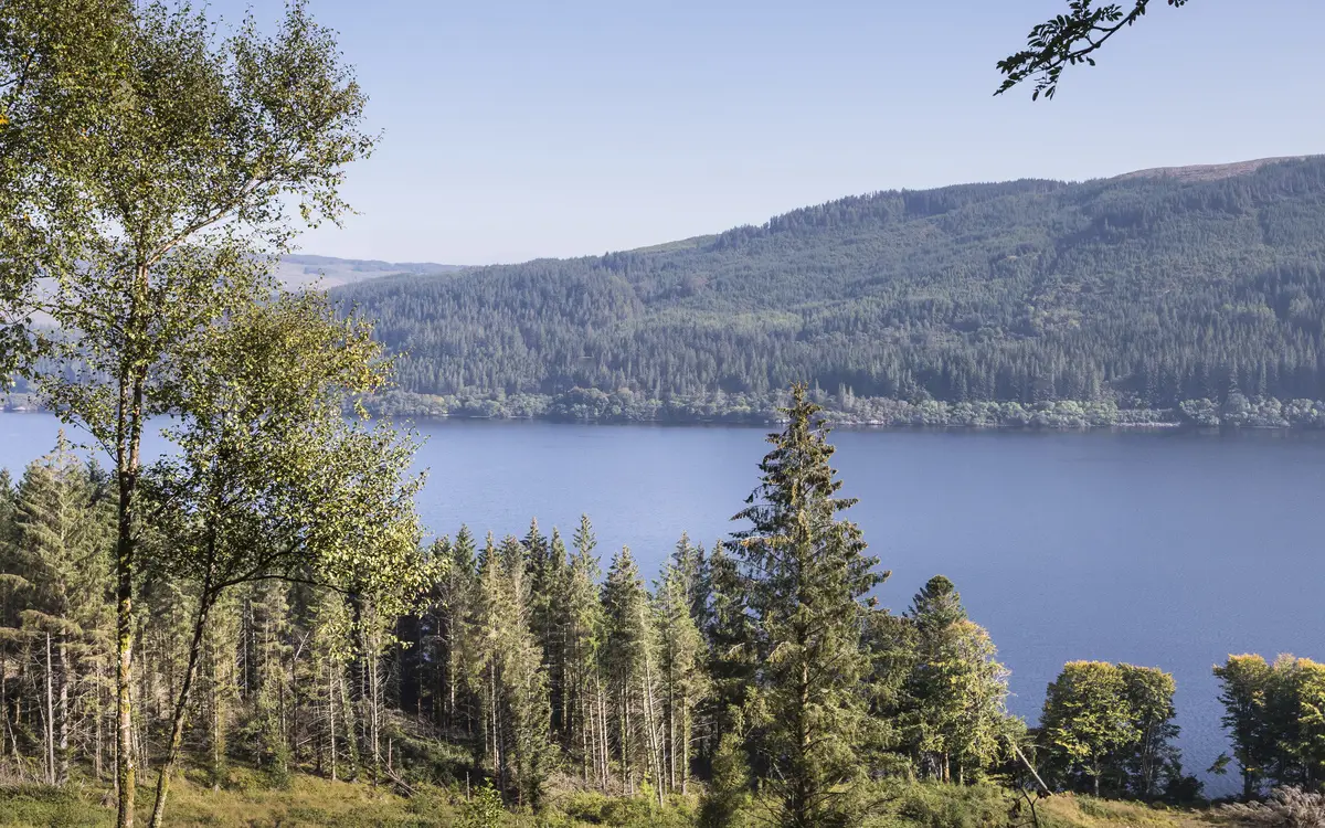 View through trees to a wide loch