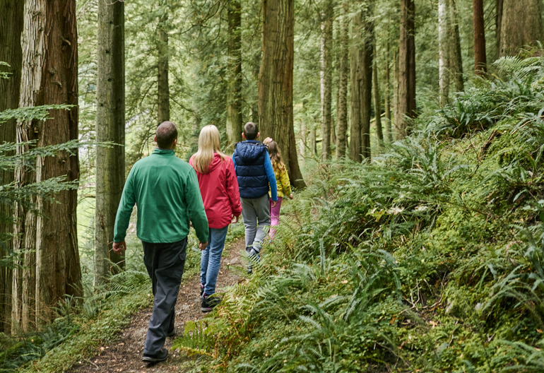 Man, woman, young boy and girl walk along woodland trail , Benmore forest, near Dunoon