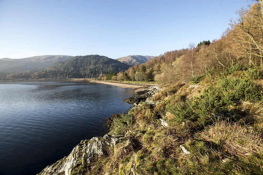 Landscape view of calm water and rocky, tree covered banks on sunny day