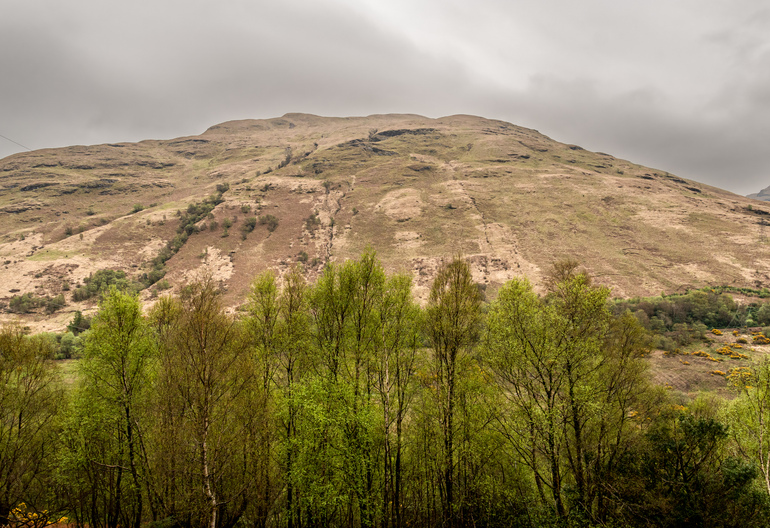 A hill with trees in front