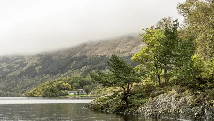 Loch with trees on the right of image.