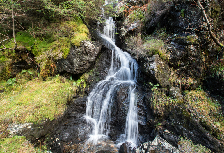 Waterfall flows over moss and plant covered rocks, Ardgartan, Argyll Forest Park