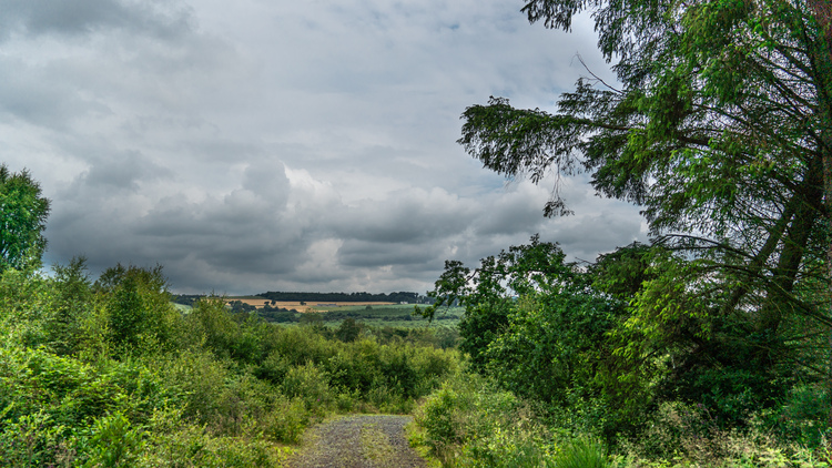 A forest road elevated over rolling fields with dark clouds
