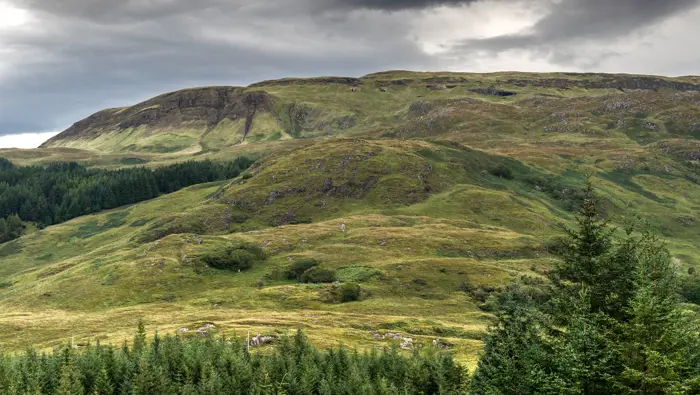  A barren hillside with conifers at the base