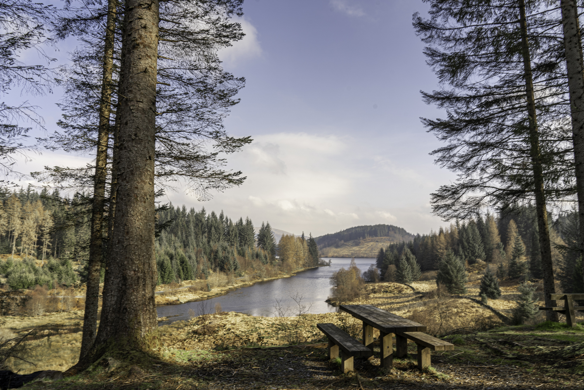 A picnic table overlooking a loch in a forest