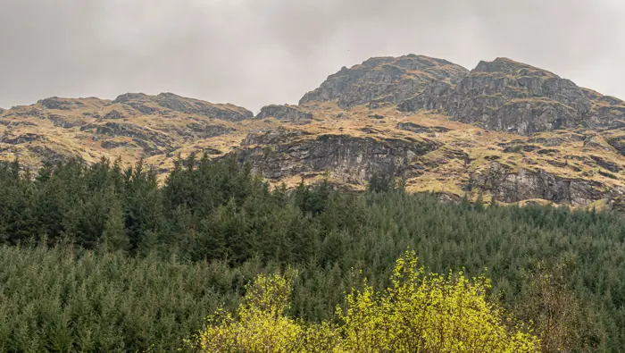 Mountains with trees in front of them