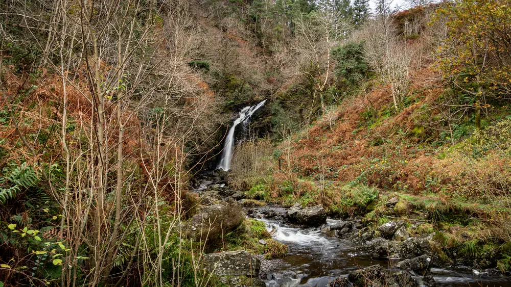 A waterfall in a forest gorge 