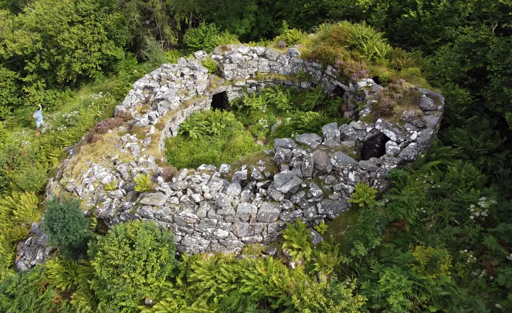 Broch amongst bracken