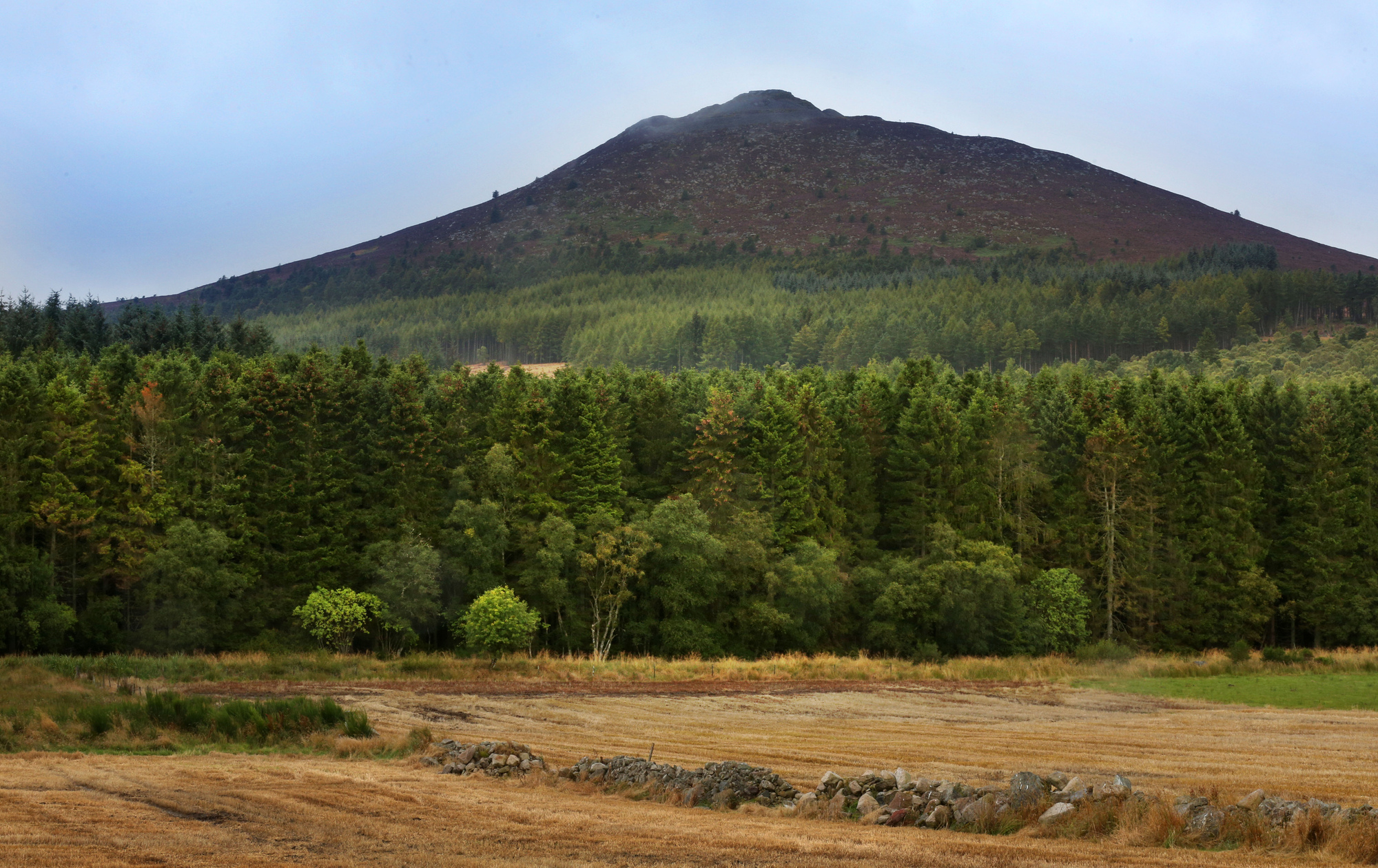 Bennachie with fields and trees in the foreground.