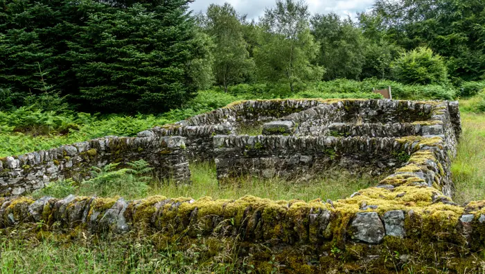 Stone sheep pens in a field with ferns and trees behind
