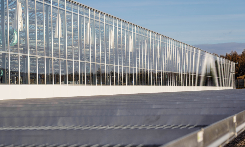 Outside of a glasshouse with trays