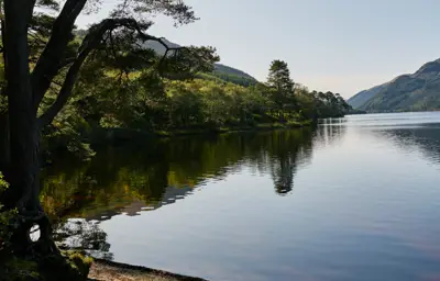 A loch surrounded by conifer woodland