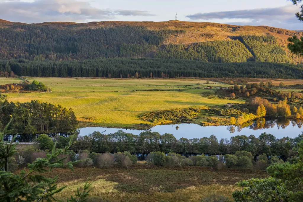 View of a river and floodplain with forested hillside in the distance.