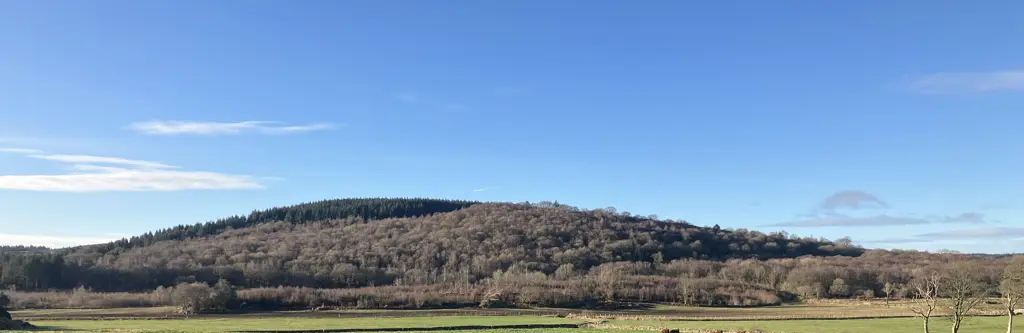 A forested hill