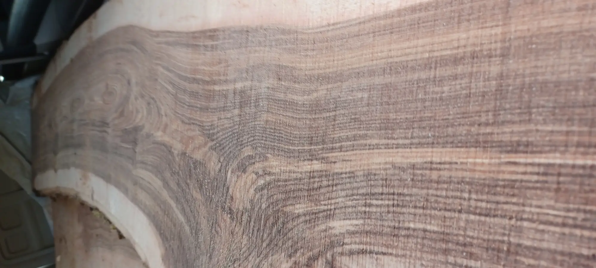 A piece of dried timber in a shed