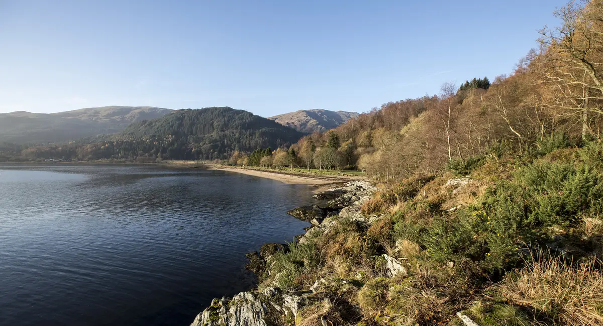 Beach and forest at Ardentinny