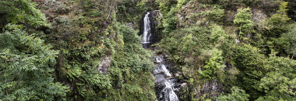 Waterfall surrounded by green forest.