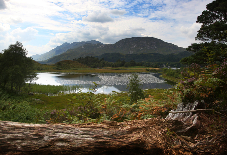 Sun shines on a loch beneath mountains and Caledonian pine forest