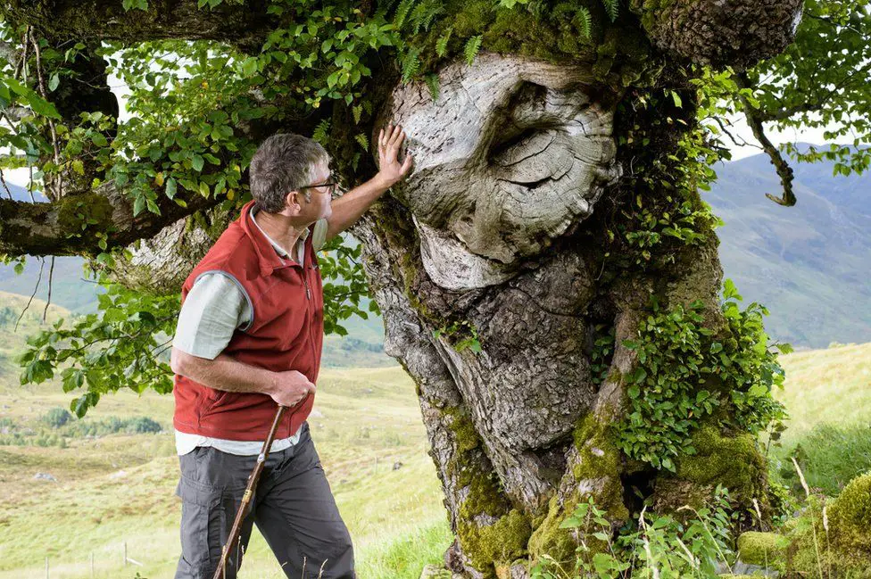 MAn placing hand on large knot of an old tree with branches and green leaves above him