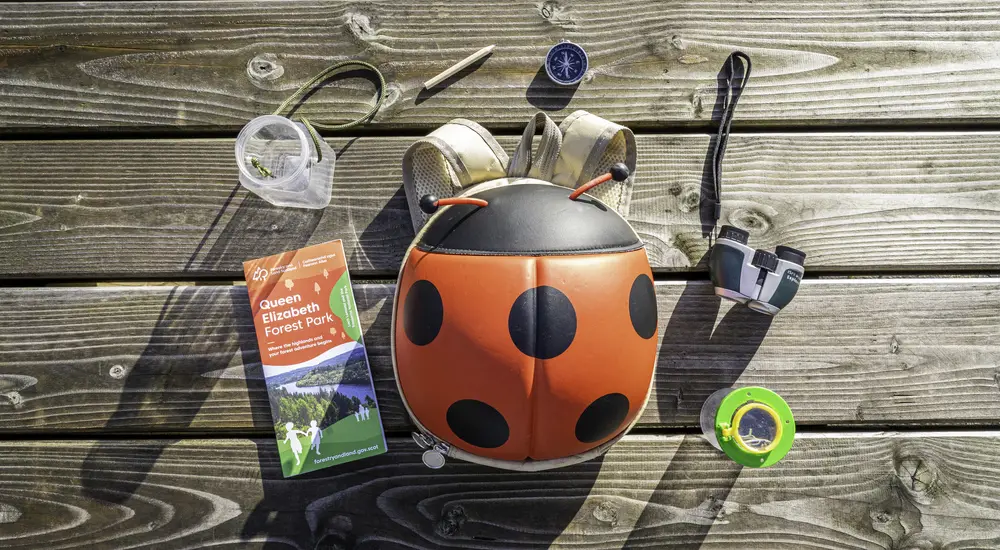 A red bug backpack on a picnic table with binoculars, pond dipper, compass and map around it