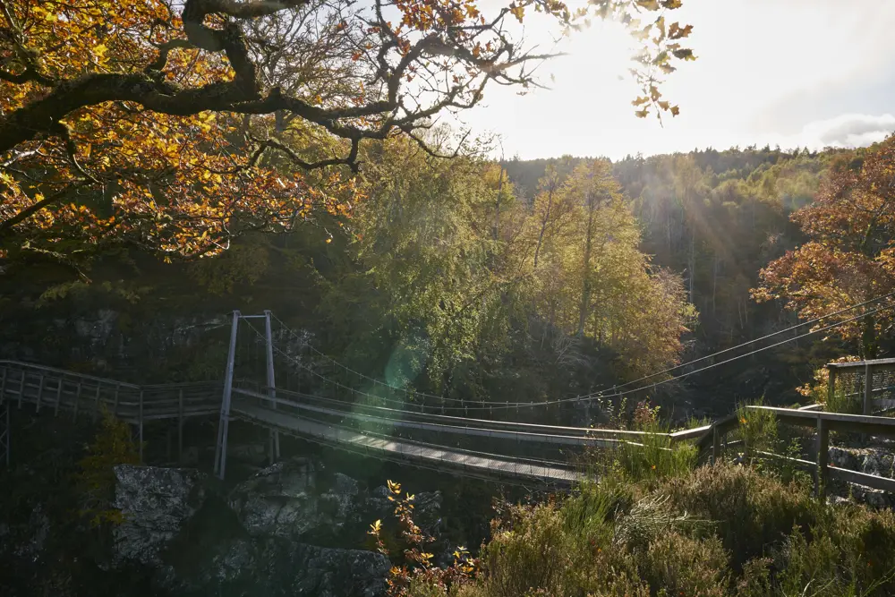 Suspension bridge at Rogie Falls