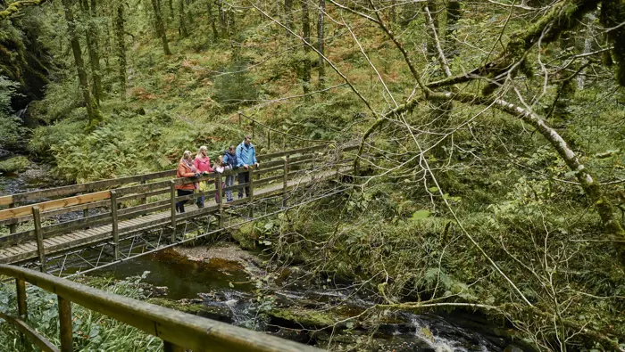 Mixed generation group of man, woman, mature woman, young boy and girl look over wooden bridge in middle of Glenbranter Forest, near Cairndow
