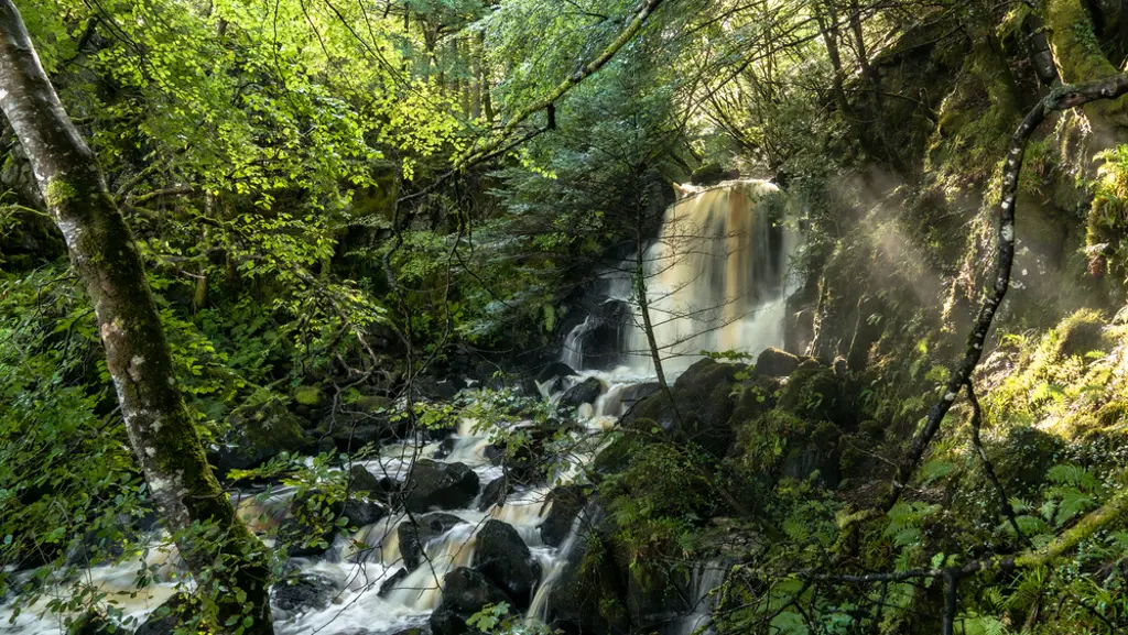 A waterfall in a lush green forest.