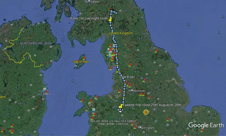 Showing Tweed's first day of migration flight in relation to Kirk