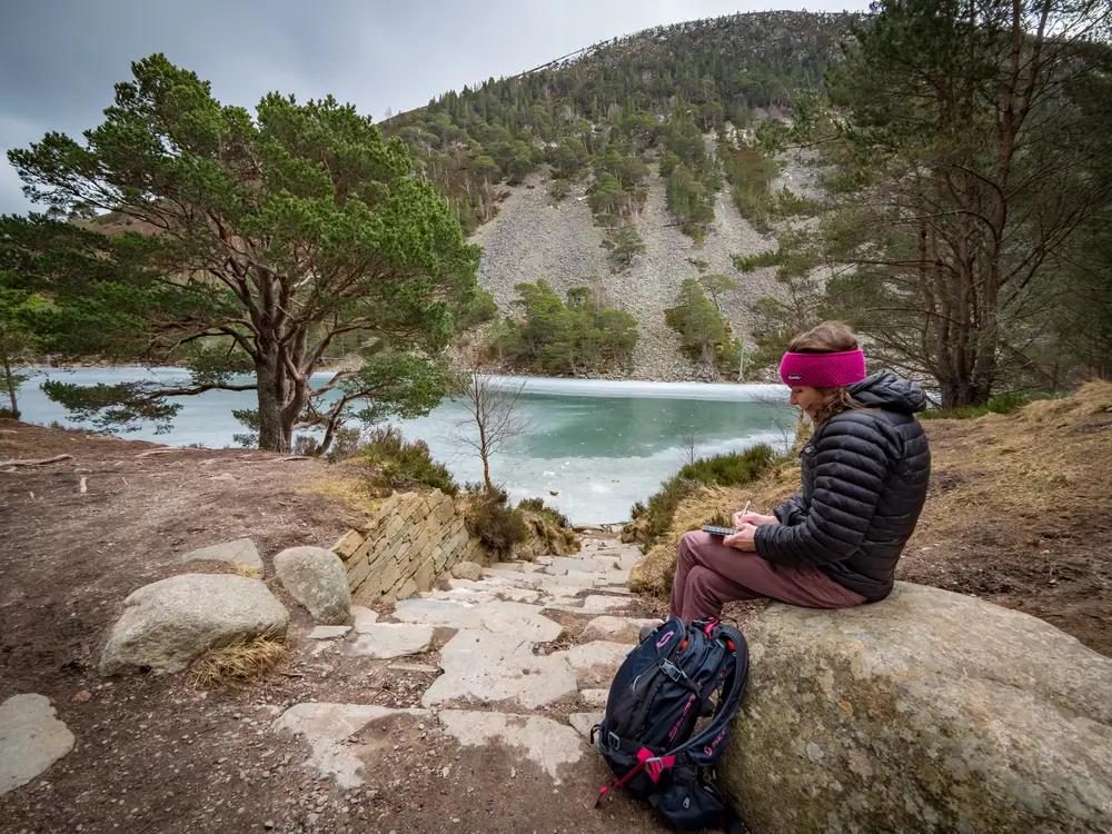 Walkers overlooking green body of water surrounded by trees