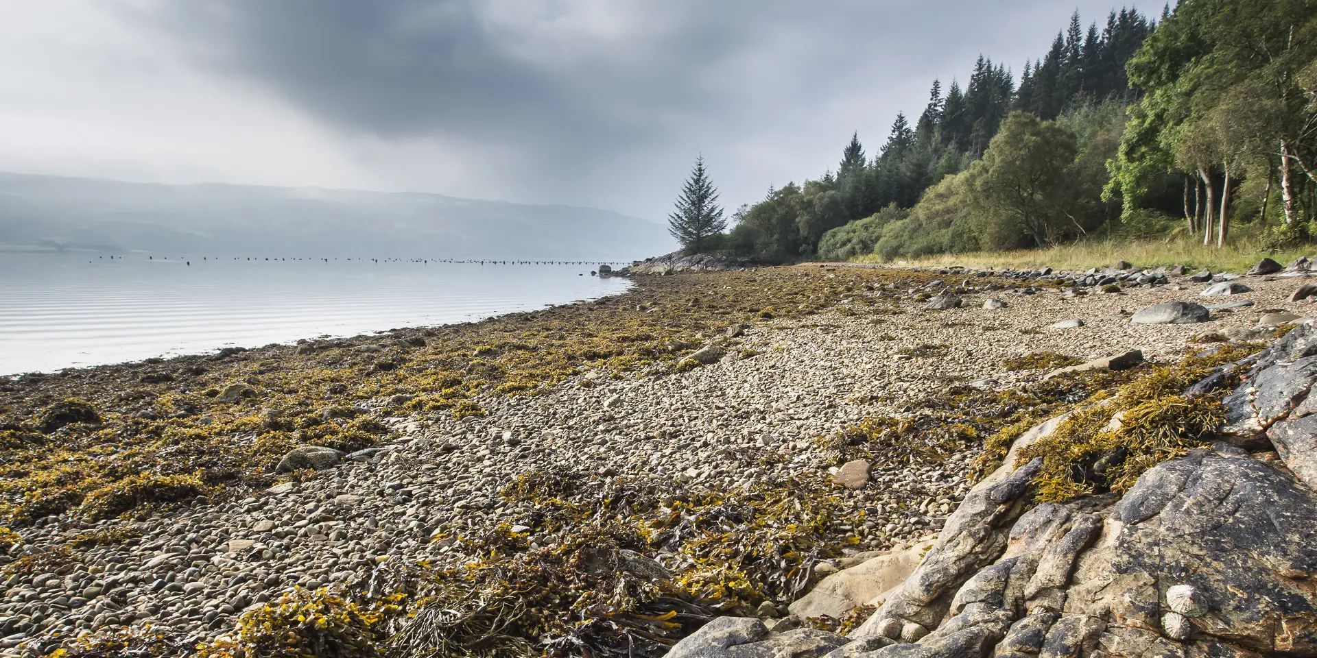 The pebble beach at Ardcastle