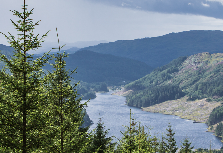 Aerial view of a loch through a pine woodland with hills in the background.