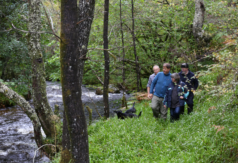 Male and female walkers walk dogs in woodland beside burn at Carie Hydro, Loch Rannoch, Perthshire 