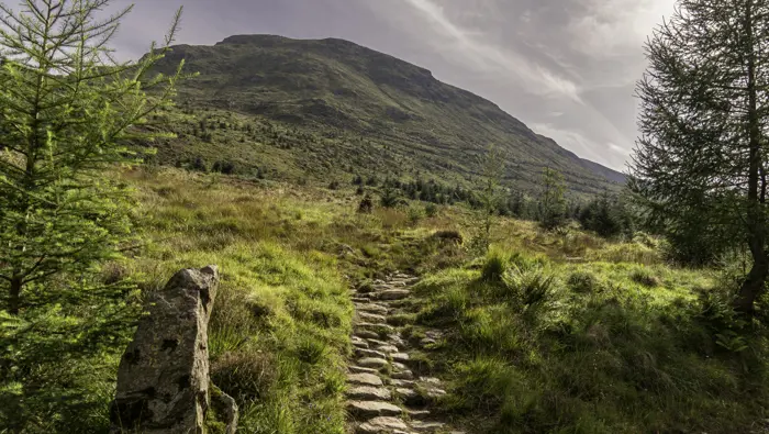 Stone steps leading towards a hill