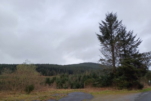 Section of Glencaird Hill