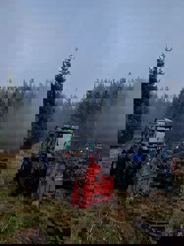 A tractor drives through a forest with a felled Sitka spruce next to it