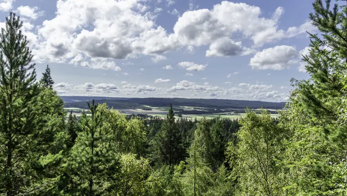 View over a valley through trees